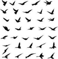 bird silhouettes vector