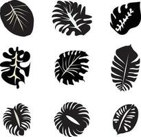 leaf silhouettes vector