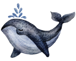 Big blue whale. Hand-drawn watercolor illustration png