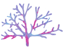 Hand gemalt Aquarell von Korallen , unter Ozean Leben png
