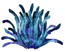 mano dipinto acquerello di coralli , sotto oceano vita png