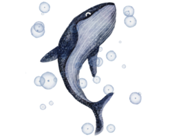 Big blue whale. Hand-drawn watercolor illustration png