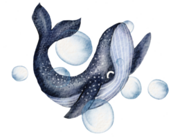 gros bleu baleine. dessiné à la main aquarelle illustration png