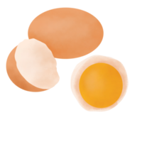 Chickern Egg Illustration png