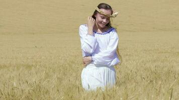 joven dama caminando en el medio de el trigo campo video