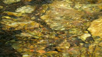 un primavera agua en el montañas video