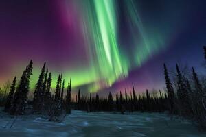 Aurora borealis dances across the sky in a breathtaking display of color. photo