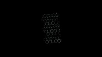 Hexagon wire animation appear from middle and change color to red in the end, concept quantum cryptography security technology video