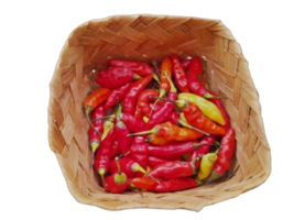 Red hot chili pepper close-up, transparent background. red chilies in the kitchen for cooking png