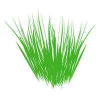 green grass bush png