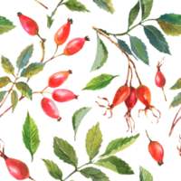 Seamless pattern with hand painted watercolor rose hip berries with green leaves on a transparent background. Seamless design of ripe rose hips for fabric, paper, printing, etc. png