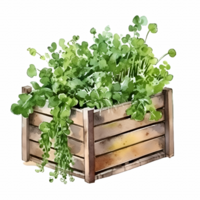 Plants Herbs in Wooden Crate Watercolor Clipart AI Generated png