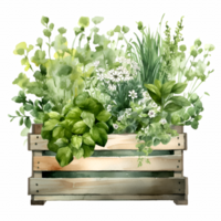 Plants Herbs in Wooden Crate Watercolor Clipart AI Generated png