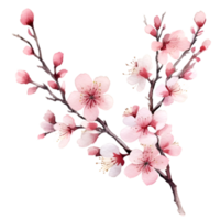 Cherry Blossom Flowers Watercolor Clipart AI Generated png