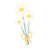 blanco margarita me gusta manzanilla ramo de flores pastel colores mínimo flores mano dibujado png