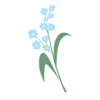 Himmel Blau vergessen mich nicht Pastell- Farben minimal Blumen Hand gezeichnet png