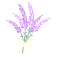 Lavenders bouquet pastel colors minimal flowers hand drawn png