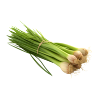 lemongrass leaf bundle, AI Generative png