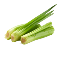 wet fresh lemongrass, png