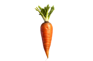 fresh carrot with leaves, AI Generative png