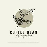 aesthetic Coffee bean logo design vector, best for cafe, restaurant, beverages etc vector