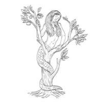 Draconcopedes Curled in Tree Medieval Style Line Art Drawing vector