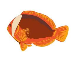 Red Anemonefish or Australian Clownfish in Oslob Cebu Philippines WPA Art Deco vector