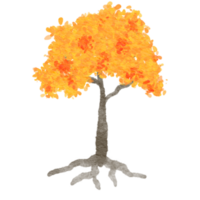 autumn tree isolated png