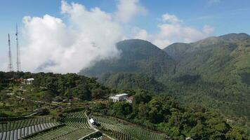 aéreo ver de brumoso hils alrededor leyu montaña, Indonesia video