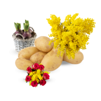 Potatoes with bouquets Cut out, isolated transparent png