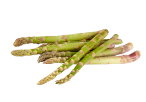 fresh asparagus Cut out, isolated transparent background png