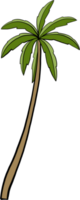 doodle coconut tree freehand drawing. png