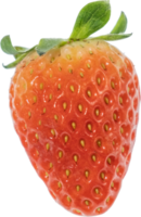 fraise Couper en dehors sur transparent Contexte. png