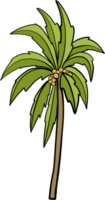 Gekritzel Kokosnuss Baum freihändig Zeichnung. png
