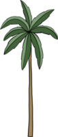 doodle coconut tree freehand drawing. png