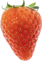 fraise Couper en dehors sur transparent Contexte. png