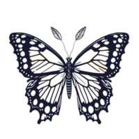 vlinder clip art, zwart vlinder Aan transparant achtergrond, vlinder illustratie png