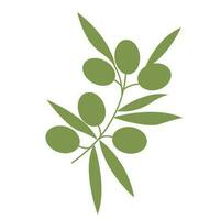 Olive branch. Simple icon  for your design. Vector illustration.