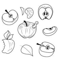 Apples and leaves. Set of simple icons of whole and cut fruits in doodle style. Vector illustration isolated on white background.