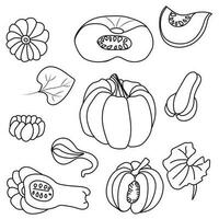 Pumpkin sketch. Autumn pumpkin harvest. Simple icons in doodle style. Vector illustration isolated on white background.