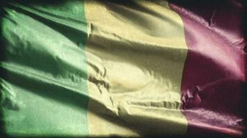 Retro aged Mali flag waving on the wind. Old vintage Malian banner swaying on the breeze. Seamless loop. video