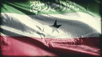 Retro aged Somaliland flag waving on the wind. Old vintage banner swaying on the breeze. Seamless loop. video