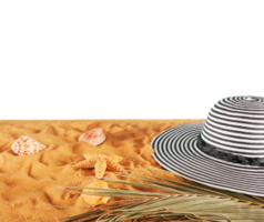 hembra sombrero en un dorado arena a el tropical playa png