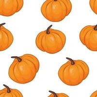 Pumpkin pattern, seasonal vegetable, autumn, holidays and thanksgiving. On the background. Vector graphics