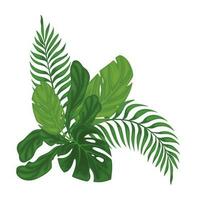 Green tropical leaves. vector