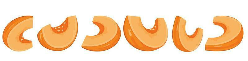 Pumpkin, set, pumpkin pieces vector