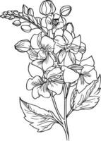 Outline larkspur flower drawing, Bunch with Delphinium or Larkspur. Flower, stem, bud and leaf in black, Floral details in contour style with ornate Delphinium, july birth flower larkspur drawing. vector