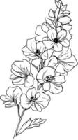 Light blue delphinium wedding bouquet, delphinium flower bouquet of black and white illustration, pencil art larkspur flower, flower isolated with desphinium, black july birth flower larkspur tattoo. vector