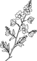 julio nacimiento flor espuela de caballero dibujo, minimalista julio nacimiento flor espuela de caballero tatuaje, espuela de caballero julio flor tatuaje, julio nacimiento flor tatuaje, espuela de caballero flores línea dibujos, espuela de caballero vector ilustración