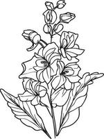 Sketch of outline delphinium flower coloring book hand drawn vector illustration artistically engraved ink art blossom larkspur flowers isolated on white background clip art, larkspur clipart.